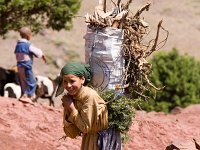 Girl collecting wood